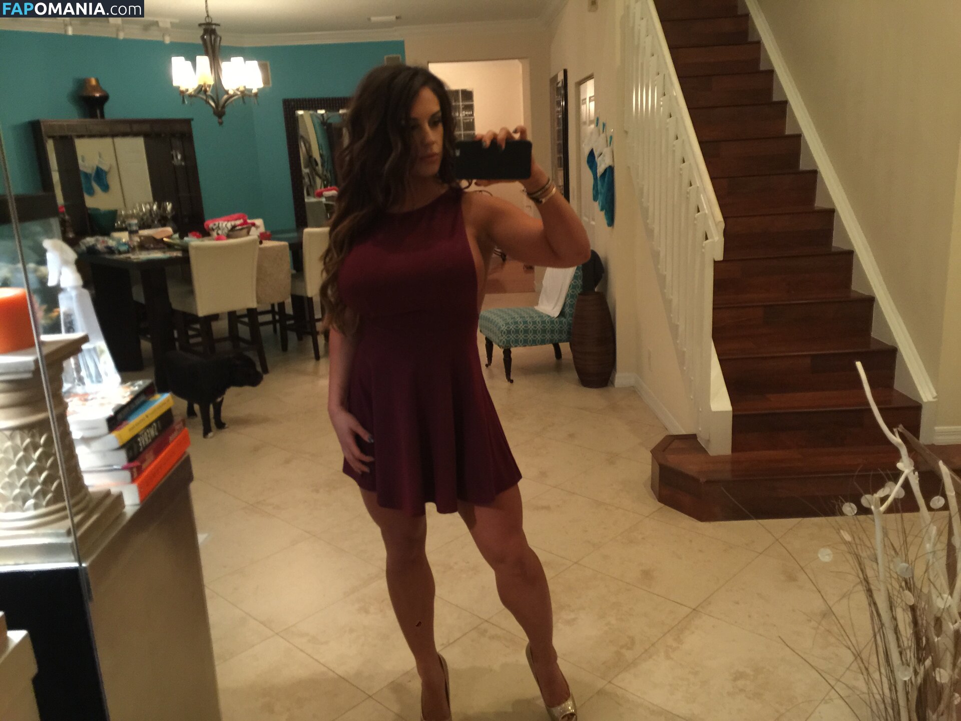 Kaitlyn WWE Çıplak Sızdırılmış Fotoğraf #35