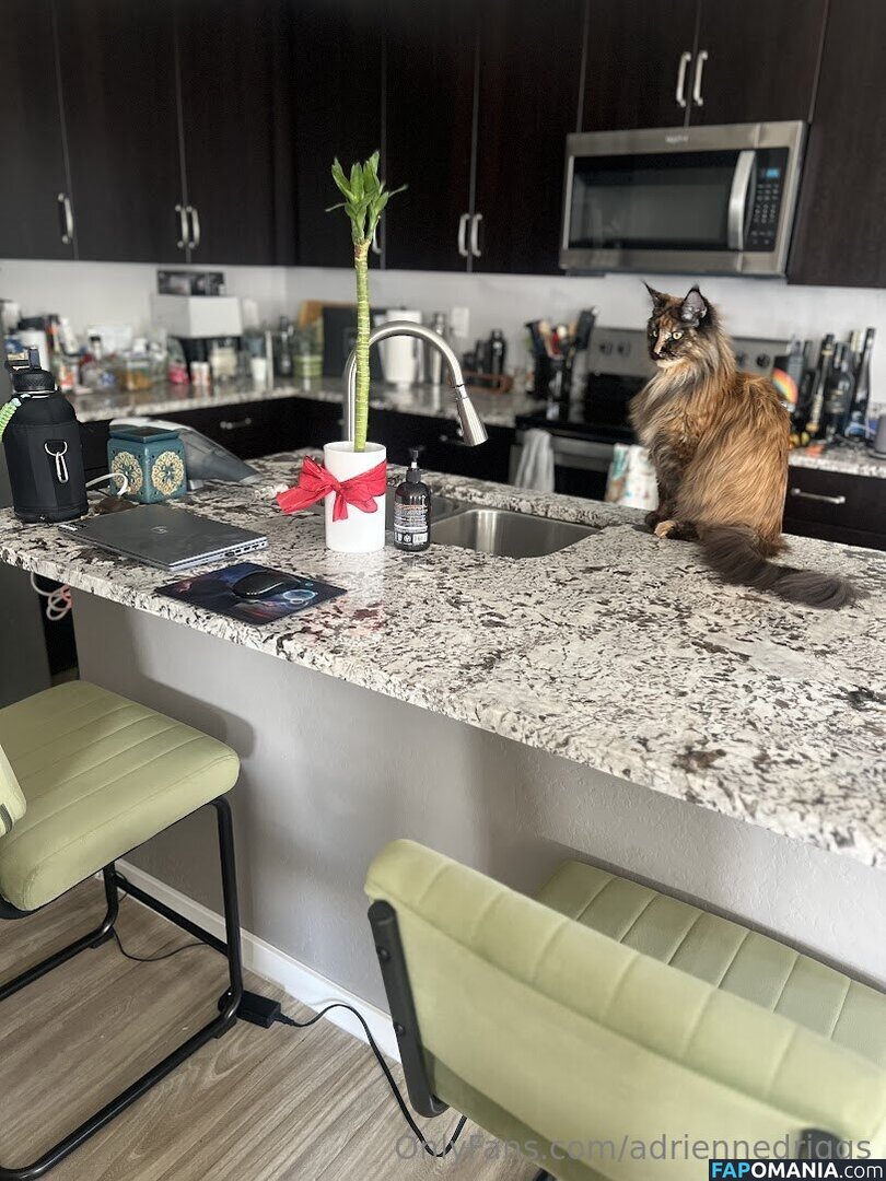 adrienne.driggs / adriennedriggs Çıplak OnlyFans  Sızdırılmış Fotoğraf #9