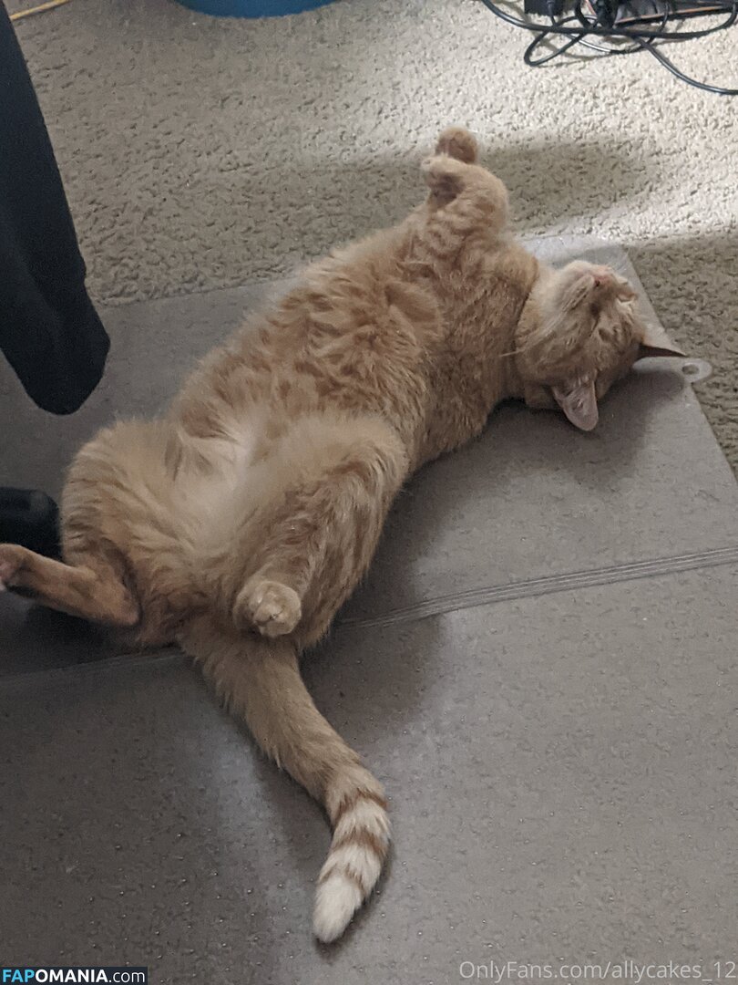 allycakes_12 Çıplak OnlyFans  Sızdırılmış Fotoğraf #3