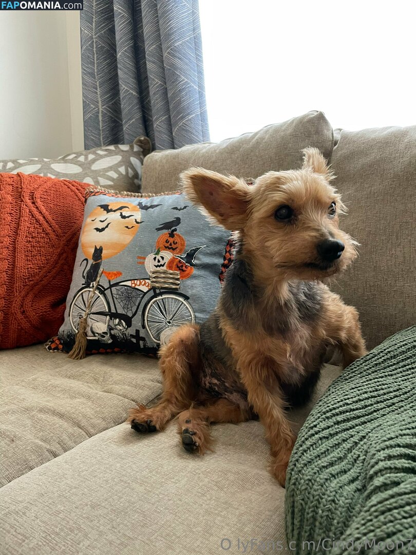 cindymoon007 / cindymoon7 Çıplak OnlyFans  Sızdırılmış Fotoğraf #280