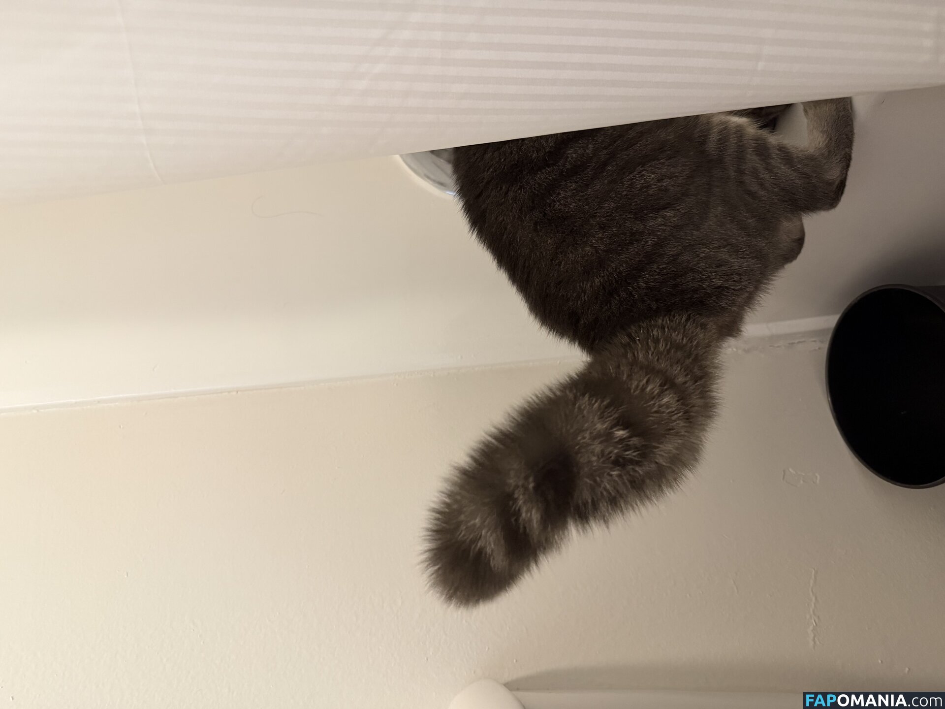 dahniks / dahnikz Çıplak OnlyFans  Sızdırılmış Fotoğraf #15