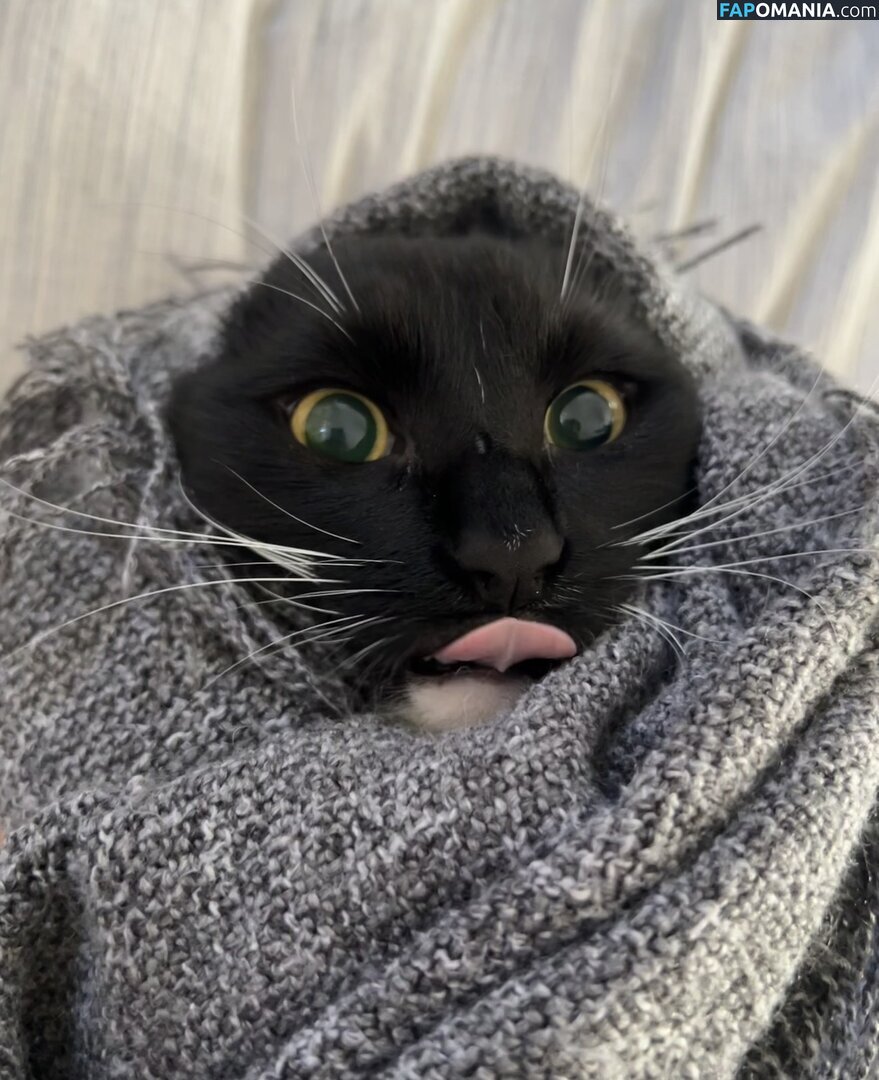 dahniks / dahnikz Çıplak OnlyFans  Sızdırılmış Fotoğraf #19