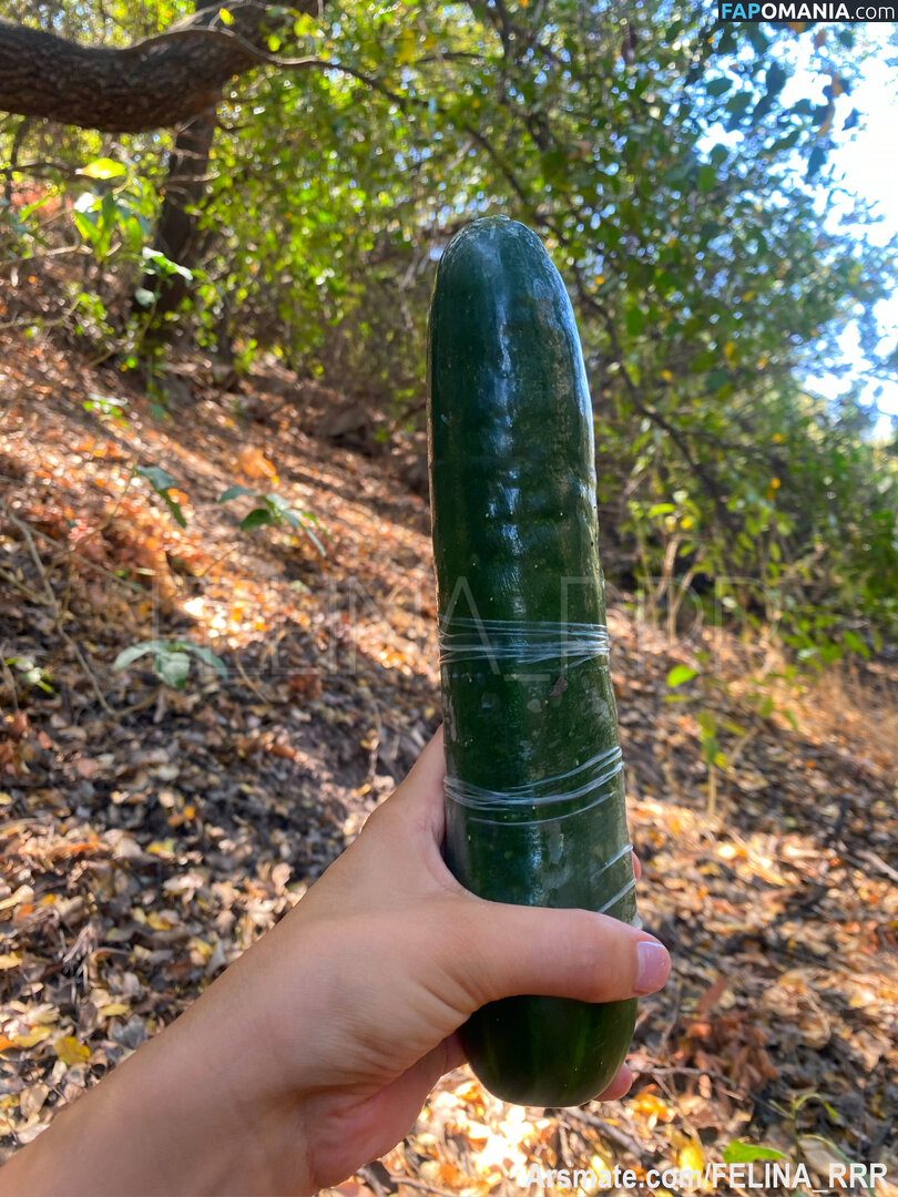 Felina_rrr Çıplak OnlyFans  Sızdırılmış Fotoğraf #16