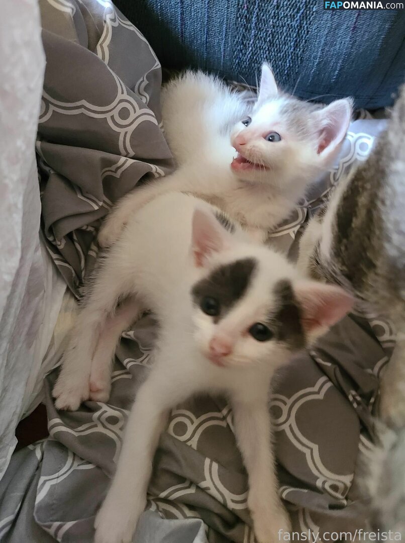 Freista / Tittykona / _mofreitas Çıplak OnlyFans  Sızdırılmış Fotoğraf #16