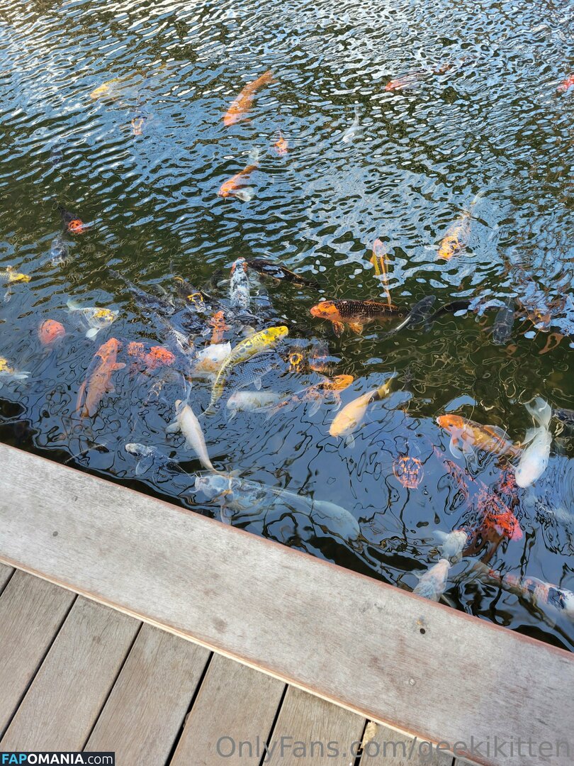 geekikitten / geekykittenxo Çıplak OnlyFans  Sızdırılmış Fotoğraf #4