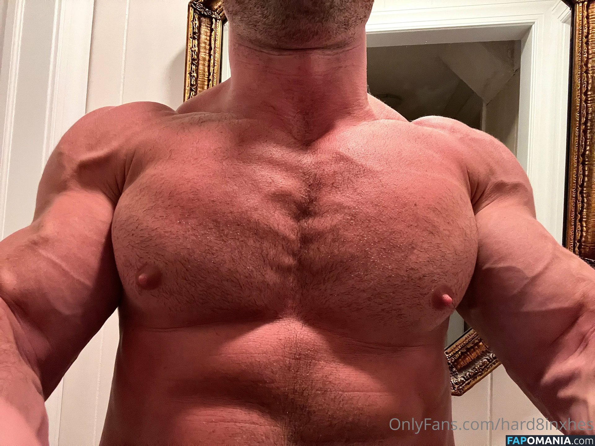 hard8inxhes Çıplak OnlyFans  Sızdırılmış Fotoğraf #4