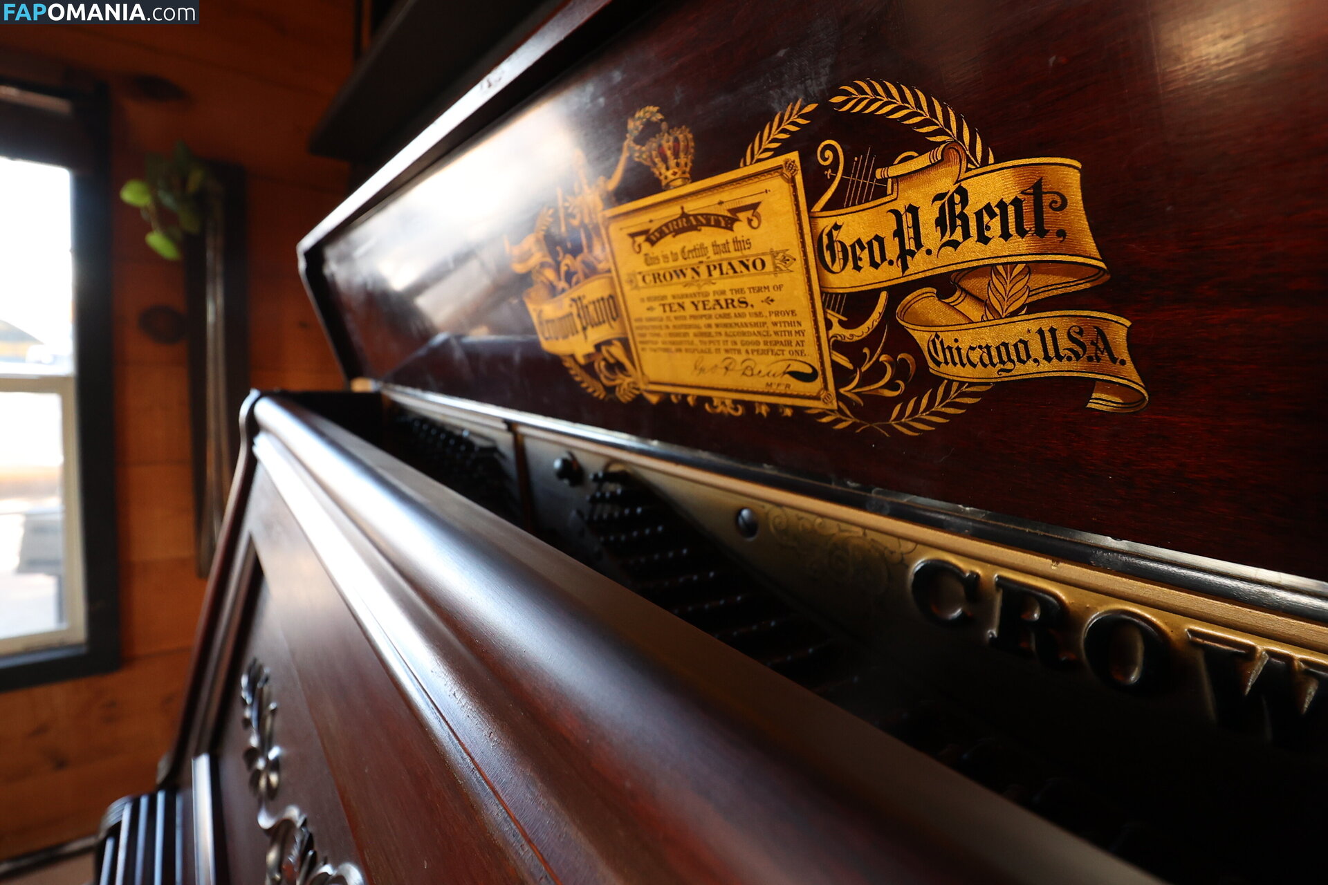 harlemhookup Çıplak OnlyFans  Sızdırılmış Fotoğraf #20