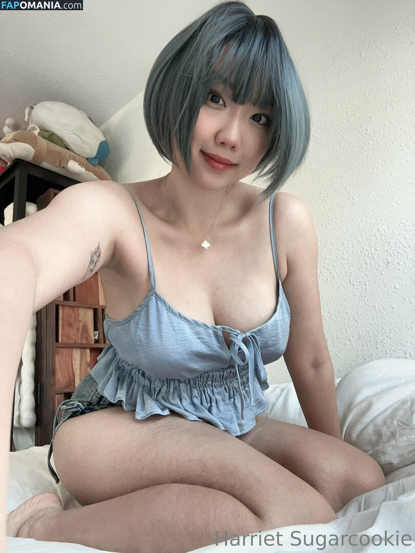 HSugarCookie / Harriet Sugarcookie / harrietsugarcookie / iamharrietsugarcookie Çıplak OnlyFans  Sızdırılmış Fotoğraf #85
