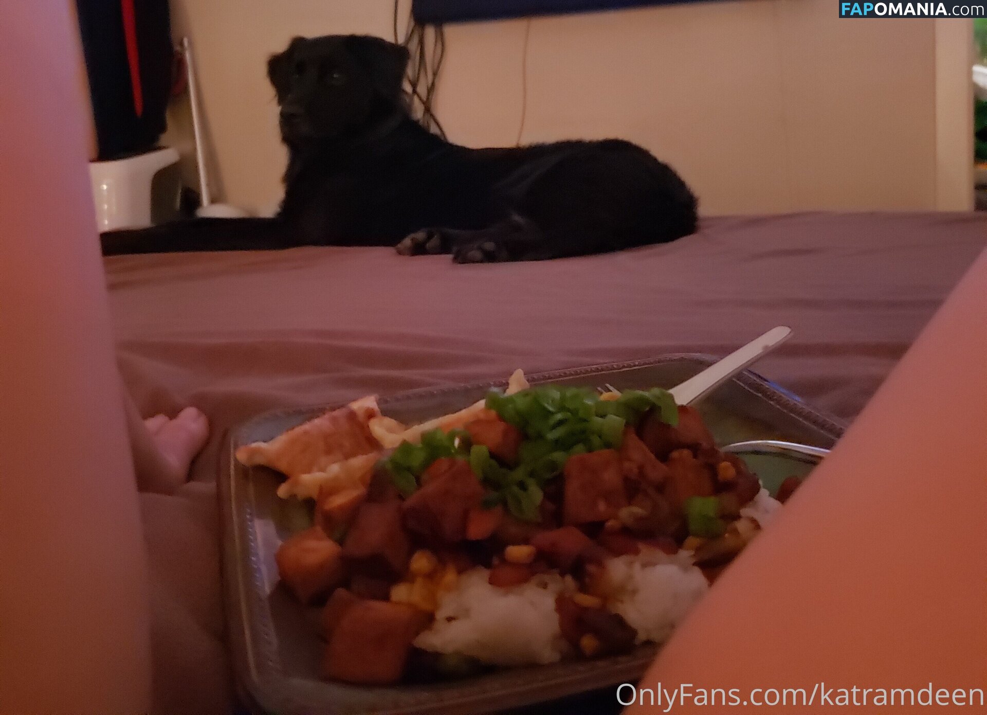 Katherine Ramdeen Çıplak OnlyFans  Sızdırılmış Fotoğraf #14