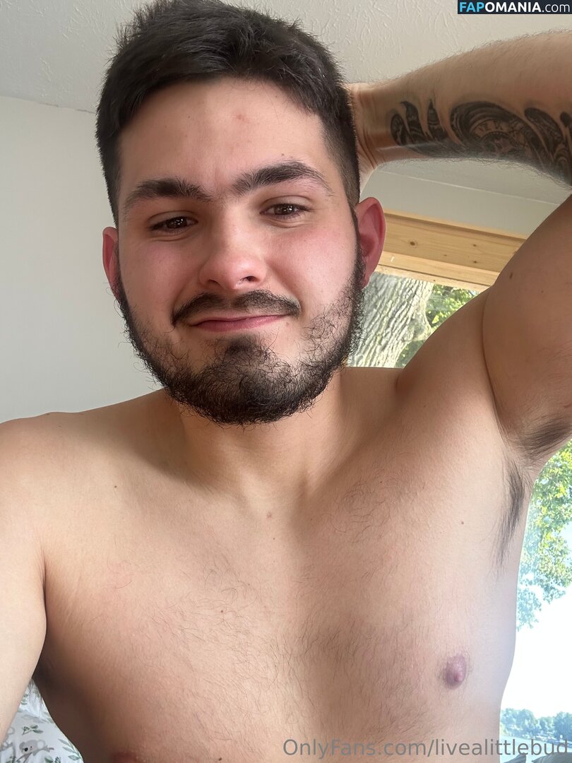 livealittlebud Çıplak OnlyFans  Sızdırılmış Fotoğraf #2