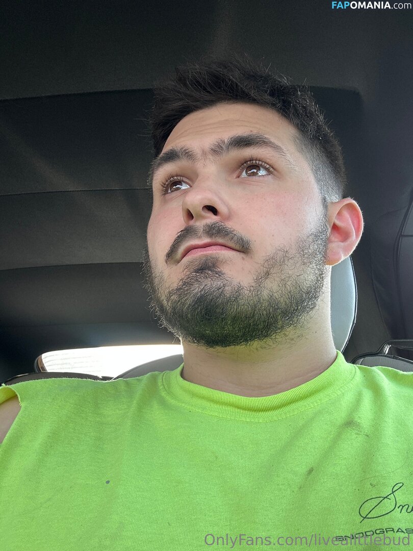 livealittlebud Çıplak OnlyFans  Sızdırılmış Fotoğraf #5