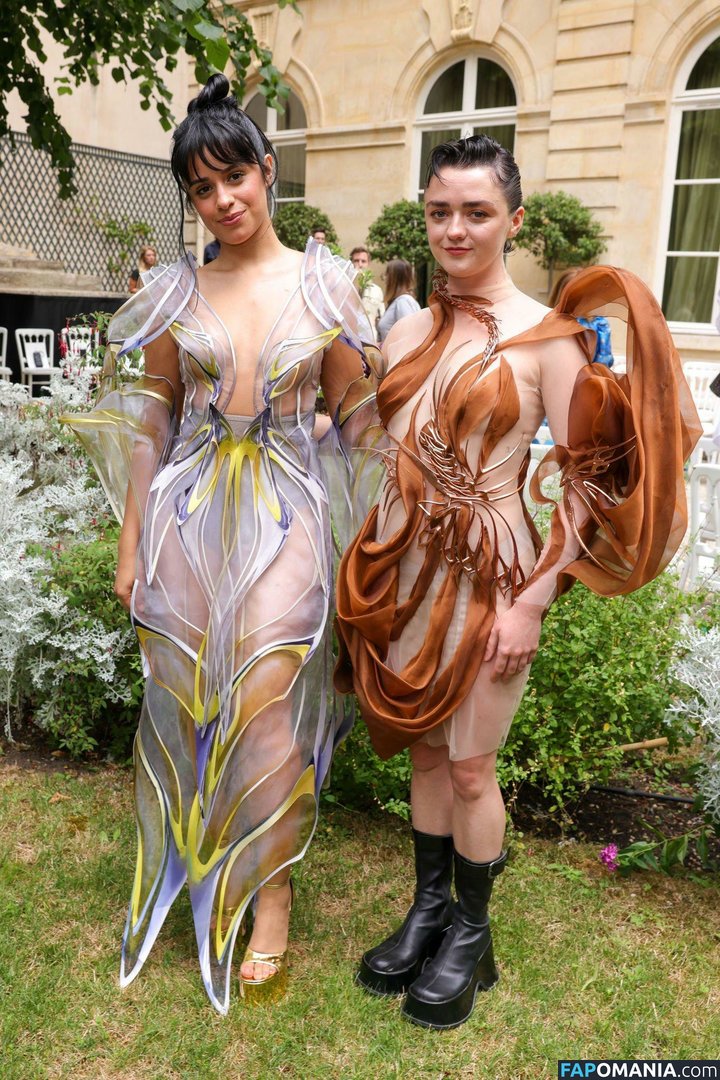Maisie Williams Çıplak Sızdırılmış Fotoğraf #21
