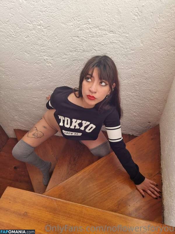 NoFlowers4You / NoFlowersForYou / NoFlowersForYou... / NoFlowersForYou_ / assets / https: / noflowersforu Çıplak OnlyFans  Sızdırılmış Fotoğraf #11