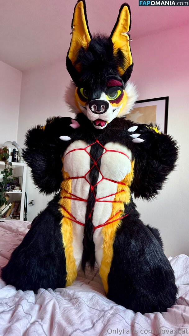 novaxcat / novaxxcat Çıplak OnlyFans  Sızdırılmış Fotoğraf #1