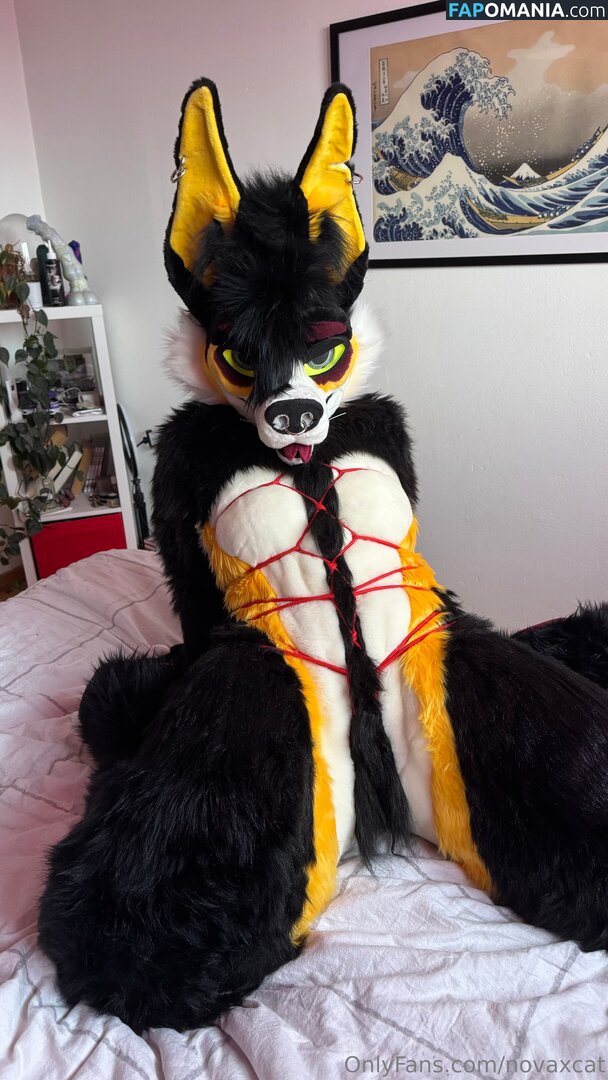 novaxcat / novaxxcat Çıplak OnlyFans  Sızdırılmış Fotoğraf #2