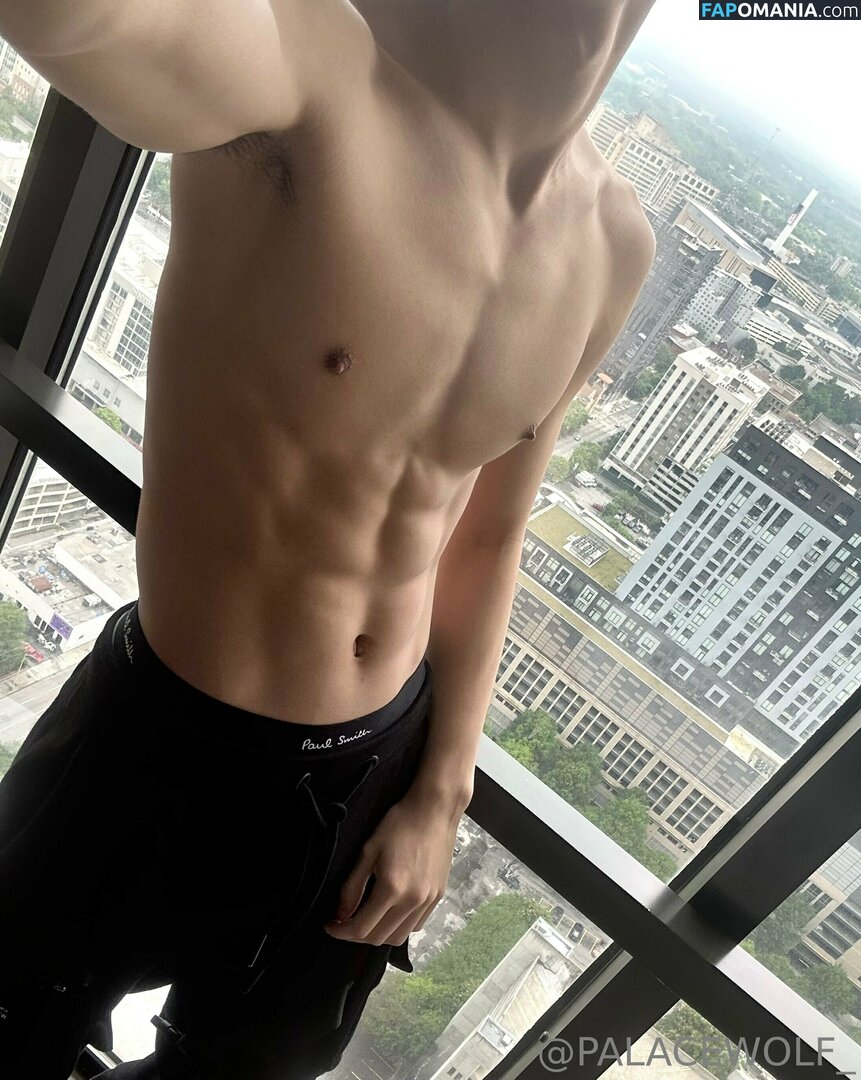 palacewolf / palacewolfent Çıplak OnlyFans  Sızdırılmış Fotoğraf #4