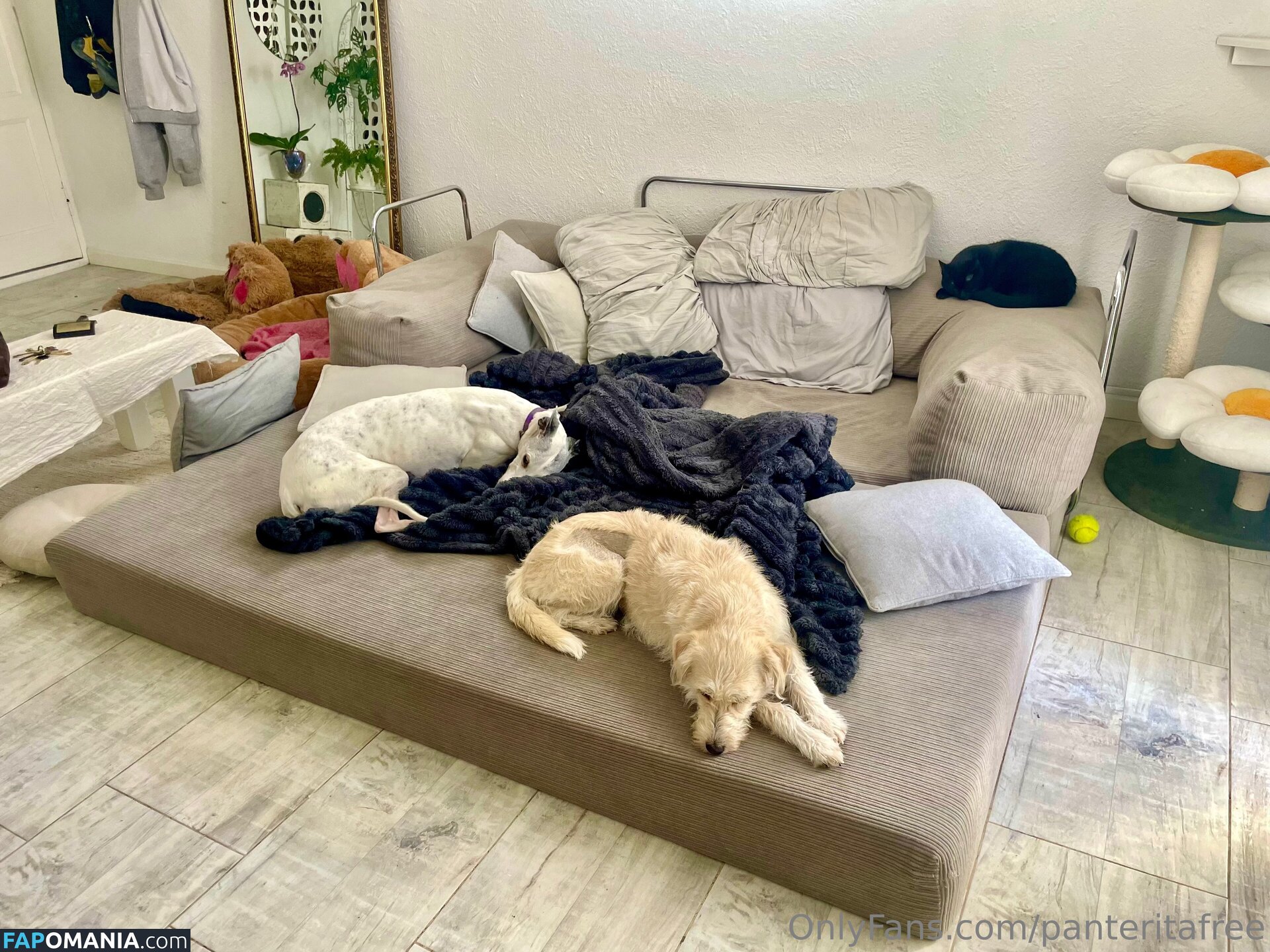 panteritafree Çıplak OnlyFans  Sızdırılmış Fotoğraf #6