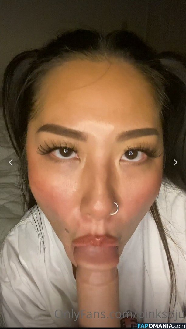 PlNKSOJU / denisetamsi / pinksoju Çıplak OnlyFans  Sızdırılmış Fotoğraf #11