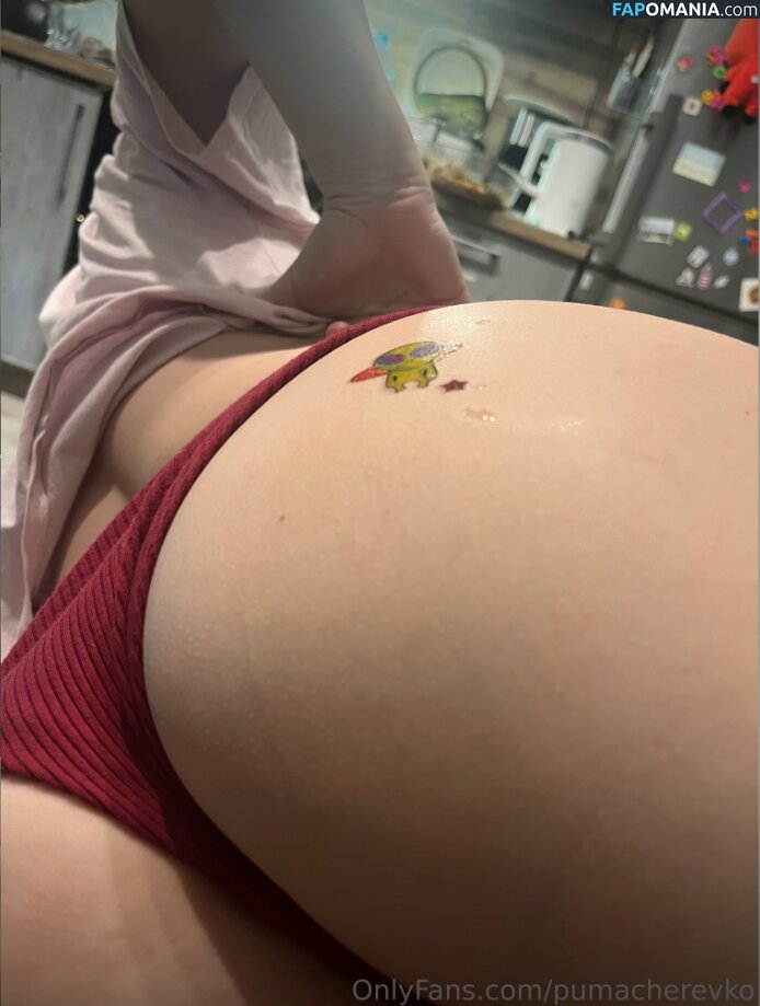Margarita / Puma Cherevko / pumacherevko Çıplak OnlyFans  Sızdırılmış Fotoğraf #17
