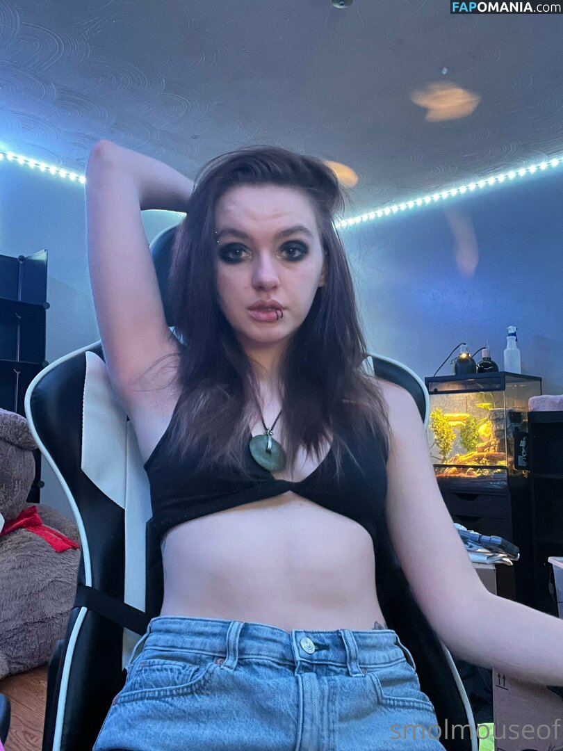 smolmouse8 / smolmouseof Çıplak OnlyFans  Sızdırılmış Fotoğraf #46
