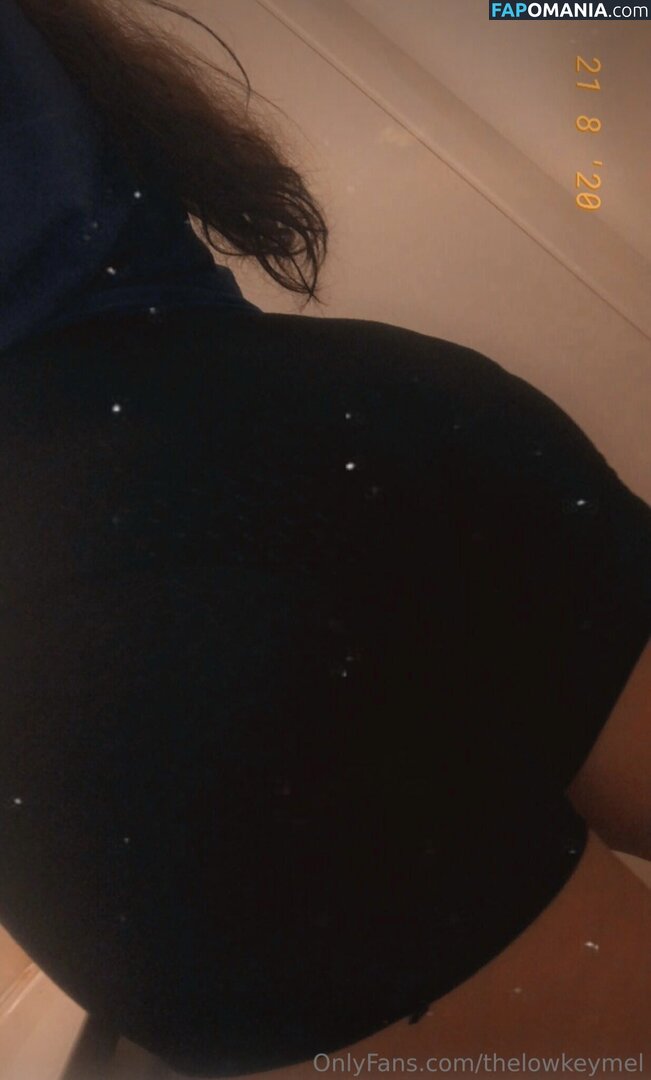 TheLowkeyMel / theofficiallmel Çıplak OnlyFans  Sızdırılmış Fotoğraf #7