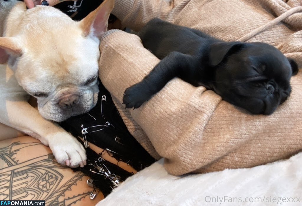 undersiegexo Çıplak OnlyFans  Sızdırılmış Fotoğraf #8