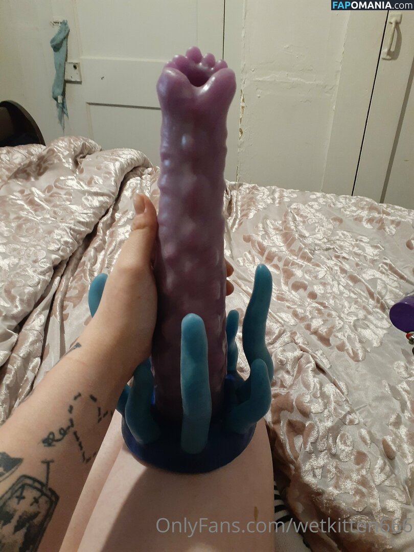 kitty.valentine.92372 / wetkitten666 Çıplak OnlyFans  Sızdırılmış Fotoğraf #13