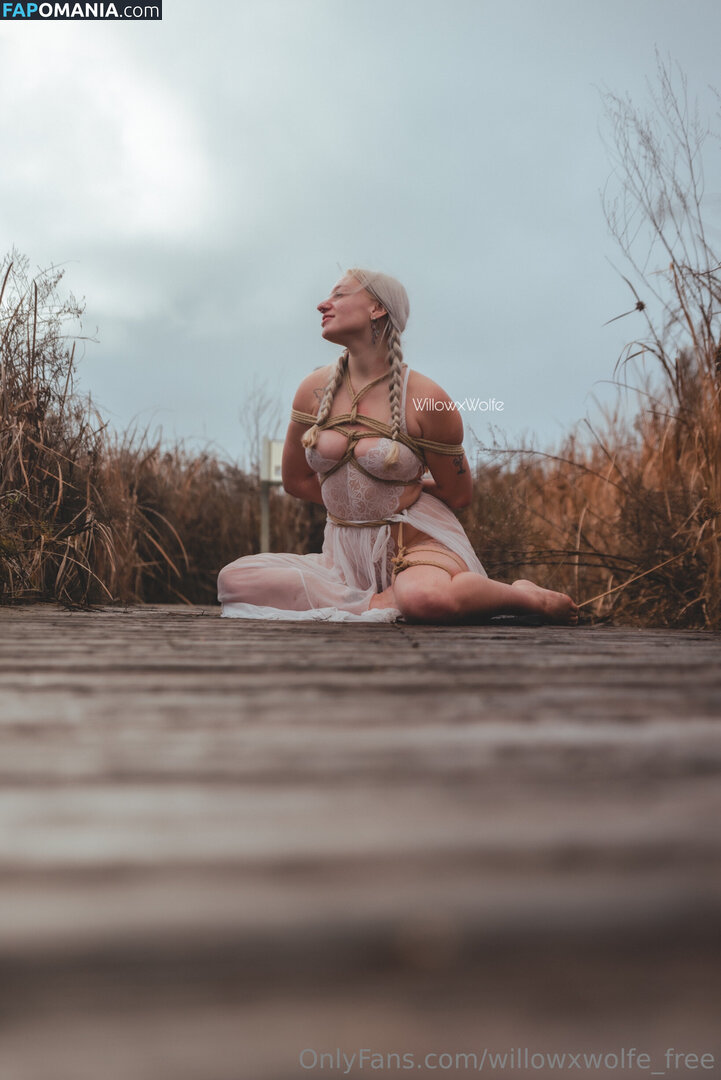 willowxwolfe / willowxwolfe_free Çıplak OnlyFans  Sızdırılmış Fotoğraf #11