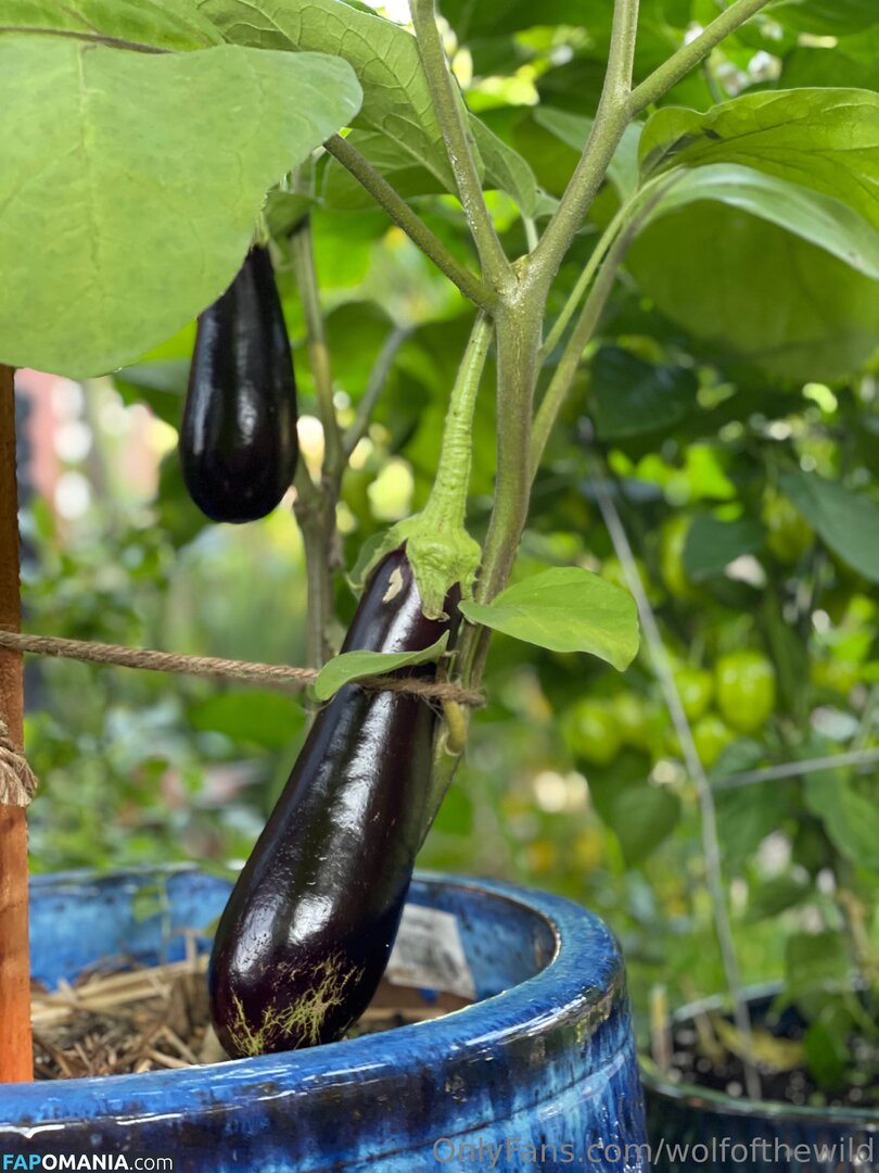 wolfofthewild / wolfofthewildd Çıplak OnlyFans  Sızdırılmış Fotoğraf #7