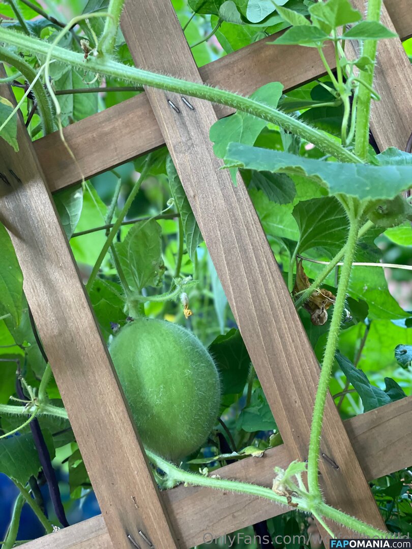 wolfofthewild / wolfofthewildd Çıplak OnlyFans  Sızdırılmış Fotoğraf #8