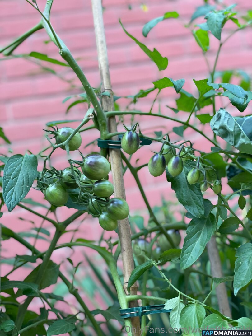 wolfofthewild / wolfofthewildd Çıplak OnlyFans  Sızdırılmış Fotoğraf #9