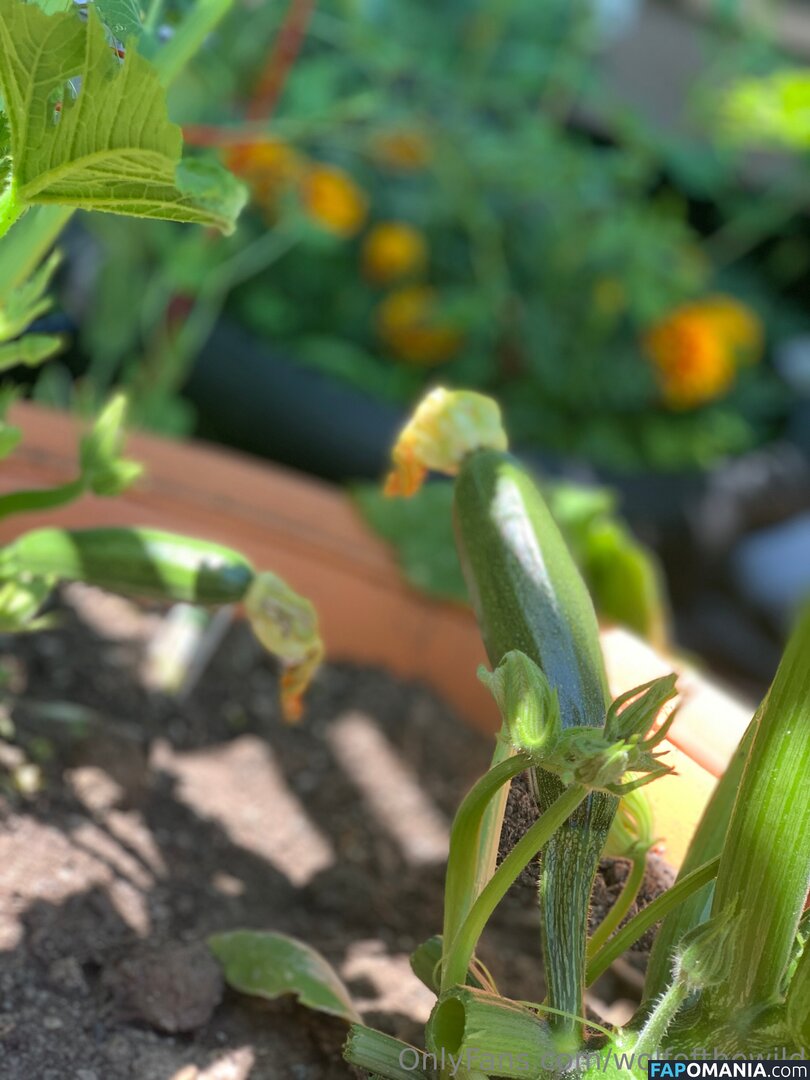 wolfofthewild / wolfofthewildd Çıplak OnlyFans  Sızdırılmış Fotoğraf #13