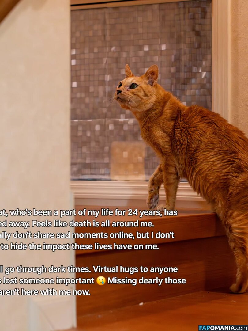 Zumi / zestyzumi Çıplak OnlyFans  Sızdırılmış Fotoğraf #120